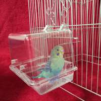 Acrylic Pet Bird Parrot small animals toys Bathtub Basin with Transparent Cover shower basin cage accessories