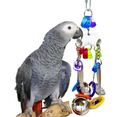 Colorful Bird Chew toy, Acrylic stainless steel spoon Bird Cage  for Small sized Parrot, Durable Bite Resistant play accessory